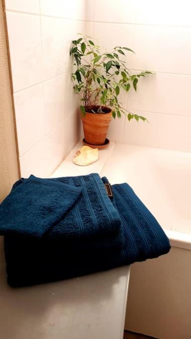Simplicite Et Calme En Appartement A Issoire Kültér fotó